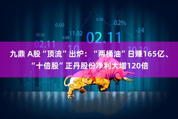 九鼎 A股“顶流”出炉：“两桶油”日赚165亿、“十倍股”正丹股份净利大增120倍