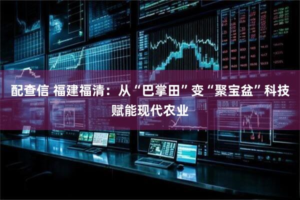 配查信 福建福清：从“巴掌田”变“聚宝盆”科技赋能现代农业