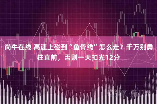 尚牛在线 高速上碰到“鱼骨线”怎么走？千万别勇往直前，否则一天扣光12分